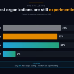 2025 State of AI report McKinsey&Co - CAID